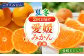 プレミアム柑橘5kgセット（ハウスみかん2kg、まどんな3㎏）