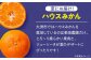 プレミアム柑橘5kgセット（ハウスみかん2kg、まどんな3㎏）