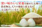 自然の甘味際立つ安心安全のお米をお届け！精米　にこまる　8kg
