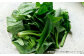 冷凍ほうれん草セット 3袋（150g/袋）