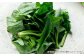 冷凍ほうれん草セット 6袋（150g/袋）
