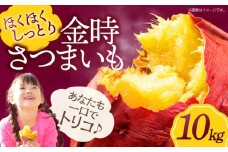 大洲市産さつまいも（金時）10kg サツマイモ さつま芋 野菜 やさい さつまいも 5kg さつまいもチップス 焼き芋 金時芋 愛媛県大洲市/愛たい菜 [AGAP013]