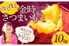 大洲市産さつまいも（金時）10kg サツマイモ さつま芋 野菜 やさい さつまいも 10kg さつまいもチップス 焼き芋 金時芋 愛媛県大洲市/愛たい菜 [AGAP013]