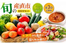 【野菜セット】【全3回】 旬の産直市お任せセット（6種以上）大洲市/たいき産直市愛たい菜 [AGAP015] 野菜 野菜 定期便 野菜セット 野菜定期便 3か月 野菜セット 定期 果物定期便 定期便 果物定期便 詰め合わせセット 果物定期便 定期
