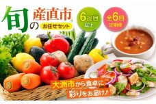 【野菜 定期便】【全6回】 旬の産直市お任せセット【6種以上】大洲市/たいき産直市愛たい菜 [AGAP016] 野菜 野菜 定期便 野菜セット 野菜定期便 6か月 野菜セット 定期 果物定期便 定期便 果物定期便 詰め合わせセット 果物定期便 定期