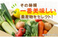 旬を味わう野菜セットと果物定期便（6種以上）