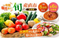【野菜 定期便】【全6回】 旬の産直市お任せセット（8種以上）大洲市/たいき産直市愛たい菜 [AGAP019] 野菜 野菜 定期便 野菜セット 野菜定期便 6か月 野菜セット 定期  野菜 詰め合わせ