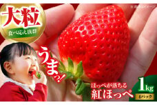 【先行予約】【2025年1月初旬より順次発送】 大粒 いちご 紅ほっぺ約 1kg（270ｇ×4パック）愛媛県大洲市/沢井青果有限会社 [AGBN026] 果物 フルーツ 苺 いちご 大粒 紅ほっぺ いちご 先行予約 イチゴ いちご煮