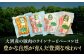 秒でプラスもう一品！ブランドポーク『オズの箱入り娘』使用！ベーコンとウィンナーセット（大）