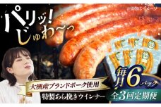 【全3回定期便】 特製ウインナー（5本入り）×6袋 合計720g ブランドポーク『オズの箱入り娘』使用！ 豚肉 小分け ウインナー ウインナーセット ウインナーソーセージ ウィンナー 愛媛県大洲市/株式会社オズメッセ [AGAZ076]