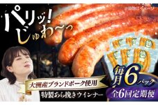 【全6回定期便】 特製ウインナー（5本入り）×6袋 合計720g ブランドポーク『オズの箱入り娘』使用！ 豚肉 小分け ウインナー ウインナーセット ウインナーソーセージ ウィンナー 愛媛県大洲市/株式会社オズメッセ [AGAZ077]