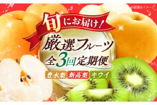 【全3回定期便】果物をたっぷり堪能！果樹園からの旬のくだもの定期便【梨（豊水・新高）・キウイフルーツ】 幸野観光なし園/ 愛媛県大洲市 [AGBD007]