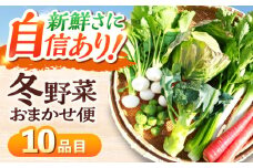 【11月中旬から順次発送】 冬野菜セット おまかせ10種 寒い冬の温かな料理に！愛媛県大洲市/かとう旬菜畑 [AGCW001] 野菜セット 野菜ジュース 野菜 野菜詰め合わせ