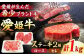 【冷凍】最高級部位！ 国産 牛肉 『愛姫牛』 ヒレステーキ