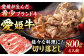 【冷凍】 国産 牛肉 『愛姫牛』切り落とし