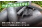 大洲の豊かな自然から生まれる『ますじの炭』竹炭4kg 