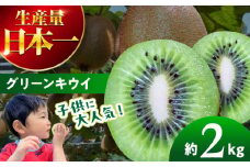 【先行予約】【11月中旬から順次発送】 キウイフルーツ2kg（20玉前後）愛媛県大洲市/工房きこり[AGCV005] 果物 くだもの フルーツ キウイ キウイフルーツ キウイ グリーンキウイ ヘイワード