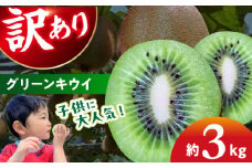 【先行予約】【11月中旬から順次発送】【訳あり】 キウイフルーツ3kg（25から30玉）愛媛県大洲市/工房きこり[AGCV006] 果物 くだもの フルーツ キウイ キウイフルーツ キウイ グリーンキウイ ヘイワード