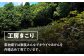 【訳あり】自然の恵みをまるごと享受！キウイフルーツ3kg（25から30玉）