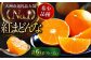 【11月下旬から順次発送】 紅まどんな 約6kg（4L〜2Lサイズ 8〜12玉入 計3kg×2箱）化粧箱入