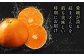 【11月下旬から順次発送】 紅まどんな 約6kg（4L〜2Lサイズ 8〜12玉入 計3kg×2箱）化粧箱入