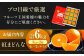 【11月下旬から順次発送】 紅まどんな 約6kg（4L〜2Lサイズ 8〜12玉入 計3kg×2箱）化粧箱入