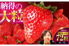いちご 紅ほっぺ 72粒 （24粒×3箱）【先行予約】【2026年1月上旬〜から順次発送】 愛媛県大洲市/有限会社西山青果[AGAR003] 果物 くだもの フルーツ 野菜 やさい いちご イチゴ 苺愛 媛県産 大洲市産 産地直送 おすすめ 人気 お取り寄せ 送料無料 贈答 ギフト