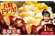【先行予約】【9月下旬から配送開始】ドデカ 生栗 1kg（約25個〜30個） 愛媛県大洲市/有限会社西山青果 [AGAR004] フルーツ 果物 くだもの 野菜 クリ 栗