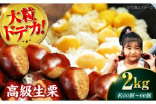 【先行予約】【9月下旬から配送開始】ドデカ 生栗 2kg（約50個〜60個） 愛媛県大洲市/有限会社西山青果 [AGAR005] フルーツ 果物 くだもの 野菜 クリ 栗