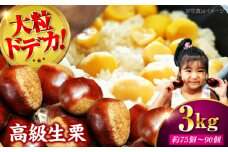 【先行予約】【9月下旬から配送開始】ドデカ 生栗 3kg（約75個〜90個） 愛媛県大洲市/有限会社西山青果 フルーツ 果物 くだもの 野菜 クリ くり [AGAR006]