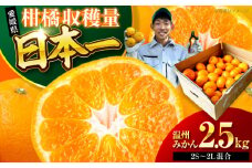 【先行予約】【10月より順次発送】温州みかん 2.5kg （2Sから2L混合サイズ） みかん 2.5kg みかんジュース 愛媛 みかん 愛媛みかん 大洲市産みかん 果物 くだもの フルーツ 愛媛県大洲市/玉川農園 [AGBC004]