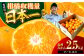 酸味さわやか愛媛じるし! 温州みかん 2.5kg （2Sから2L混合サイズ）