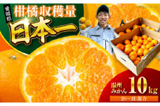 【先行予約】【10月より順次発送】温州みかん 10kg （2Sから2L混合サイズ） みかん 10kg みかんジュース 愛媛 みかん 愛媛みかん 大洲市産みかん 果物 くだもの フルーツ 愛媛県大洲市/玉川農園 [AGBC006]
