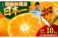 蜜柑 ふるーつ 柑橘 愛媛みかん 愛媛県産みかん 愛媛県 みかん ミカン 温州みかん みかん 小玉 愛媛 10kg