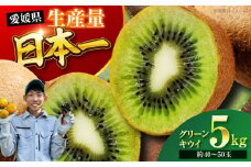 【先行予約】【11月中旬より順次配送】グリーンキウイ 5kg （約40から50玉） キウイフルーツ 5kg キウイ フルーツ ヘイワード グリーンキウイ グリーンキウイフルーツ 人気 果物 くだもの フルーツ 愛媛県大洲市/玉川農園 [AGBC007]