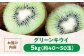 キウイ キウイフルーツ 5kg グリーンキウイ キウイフルーツ ふるさと納税  ヘイワード 果物  ギフト フルーツ くだもの