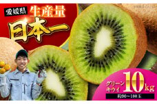 【先行予約】【11月中旬より順次配送】 グリーンキウイ 10kg （約90から100玉） 愛媛県大洲市/玉川農園[AGBC008] キウイ キウイフルーツ 果物 くだもの フルーツ 愛媛県産 大洲市産 産地直送 おすすめ 人気 お取り寄せ 送料無料 贈答 ギフト