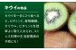 キウイ キウイフルーツ 10kg グリーンキウイ キウイフルーツ ふるさと納税 ヘイワード 果物  ギフト フルーツ くだもの