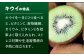 みかん ミカン キウイ 温州みかん グリーンキウイ フルーツ ギフト フルーツ セット 果物 詰め合わせ 贈答用 ギフト 贈り物