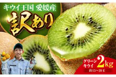 【訳あり】 グリーンキウイ 2kg （約15玉から20玉） 栄養たっぷり！愛媛の グリーンキウイ キウイ キウイフルーツ フルーツ ヘイワード 果物 愛媛県大洲市/玉川農園 [AGBC011]
