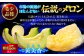 メロン 希少品種 『黄美香（きみか）』 愛媛県大洲市