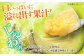 メロン 希少品種 『黄美香（きみか）』 愛媛県大洲市