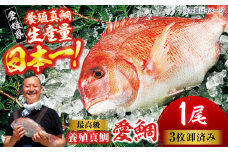 【冷凍】国内最高級 養殖 真鯛 『愛鯛』1尾（3枚卸済 フィレ2枚 お頭付き）愛媛県大洲市/愛媛県漁業協同組合[AGDA001] 魚介類 魚介 鯛 刺身 鯛めし タイ茶漬け 鯛しゃぶ 鯛の塩焼き 刺し身 冷凍 さしみ 刺身 小分け