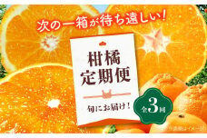 【全3回定期便】 大洲の旬果をお届け！柑橘定期便 紅まどんな デコポン 不知火 甘平 みかん ミカン 紅マドンナ フルーツ 紅まどんな 愛媛県大洲市/株式会社フジ・アグリフーズ [AGBA015]