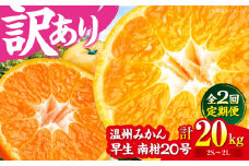 【全2回定期便】【11月中旬と12月中旬の2回発送】【訳あり】 温州みかん 10kg 柑橘 愛媛県大洲市/カームシトラス[AGBW008] 先行予約 みかん ミカン 蜜柑 果物 くだもの フルーツ 愛媛県産 大洲市産 産地直送 おすすめ 人気 お取り寄せ 送料無料 贈答 ギフト