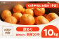 【ちょっと訳あり】温州みかん 10㎏ 2回 定期便