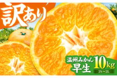 【先行予約】【11月中旬から順次発送】【ちょっと訳あり】 温州みかん 10kg 愛媛県産 早生 みかん 温州みかん 柑橘 みかん 愛媛県大洲市/有限会社カーム/カームシトラス [AGBW007]