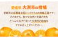 【ちょっと訳あり】温州みかん 愛媛県産 南柑20号 10kg