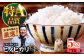 お米 ヒノヒカリ 5kg（5kg×1袋）米・食味鑑定士×お米ソムリエ×白米ソムリエ