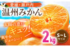 【11月中旬より順次発送】瀬戸内のめぐみたっぷり！温州みかん（S~Lサイズ）2kg 愛媛県大洲市/沢井青果有限会社 [AGBN046] 温州みかん みかん 果物 ミカン フルーツ